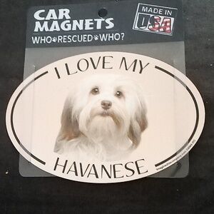 I love my havanese car magnet